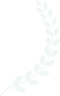 shape